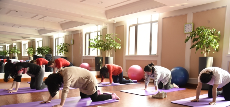 Bumpercise:猫式平衡